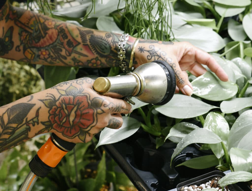 Plant Care: Neem Oil