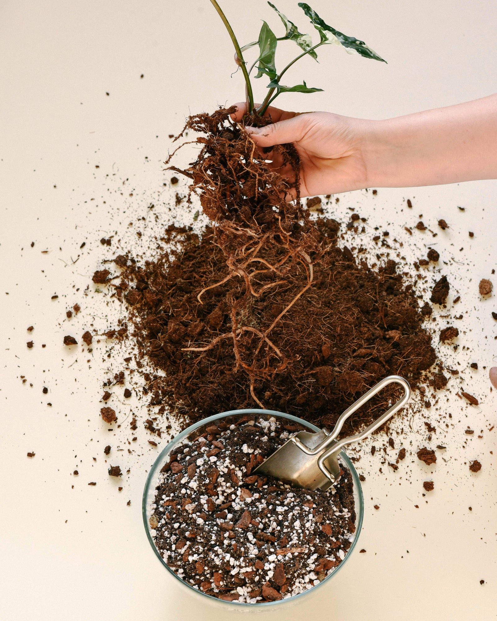 Substrates and soils
