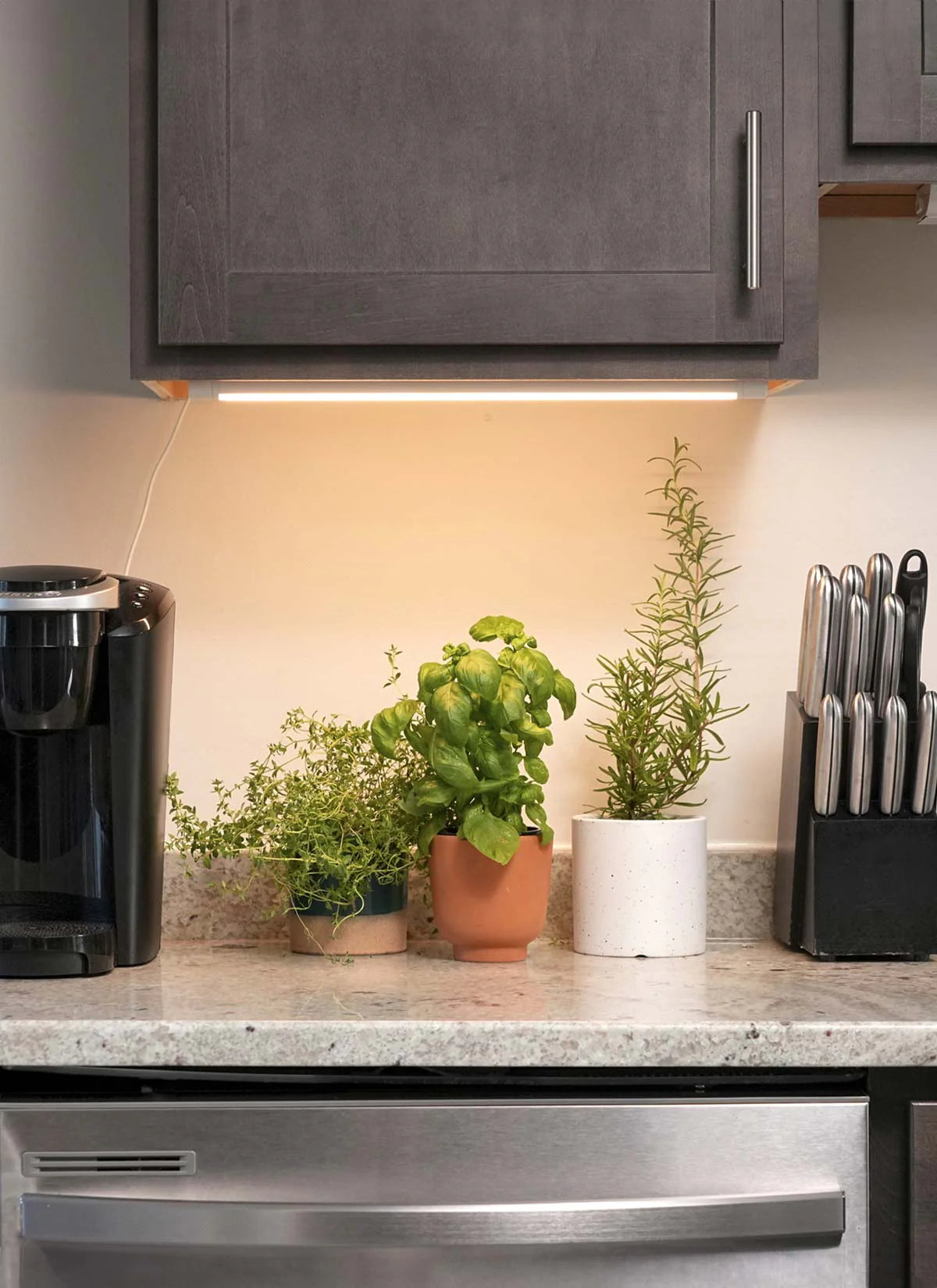 Grove™ LED Grow Light by Soltech - Unbeatable Quality for Premium Aesthetics and Function - Plant Circle.