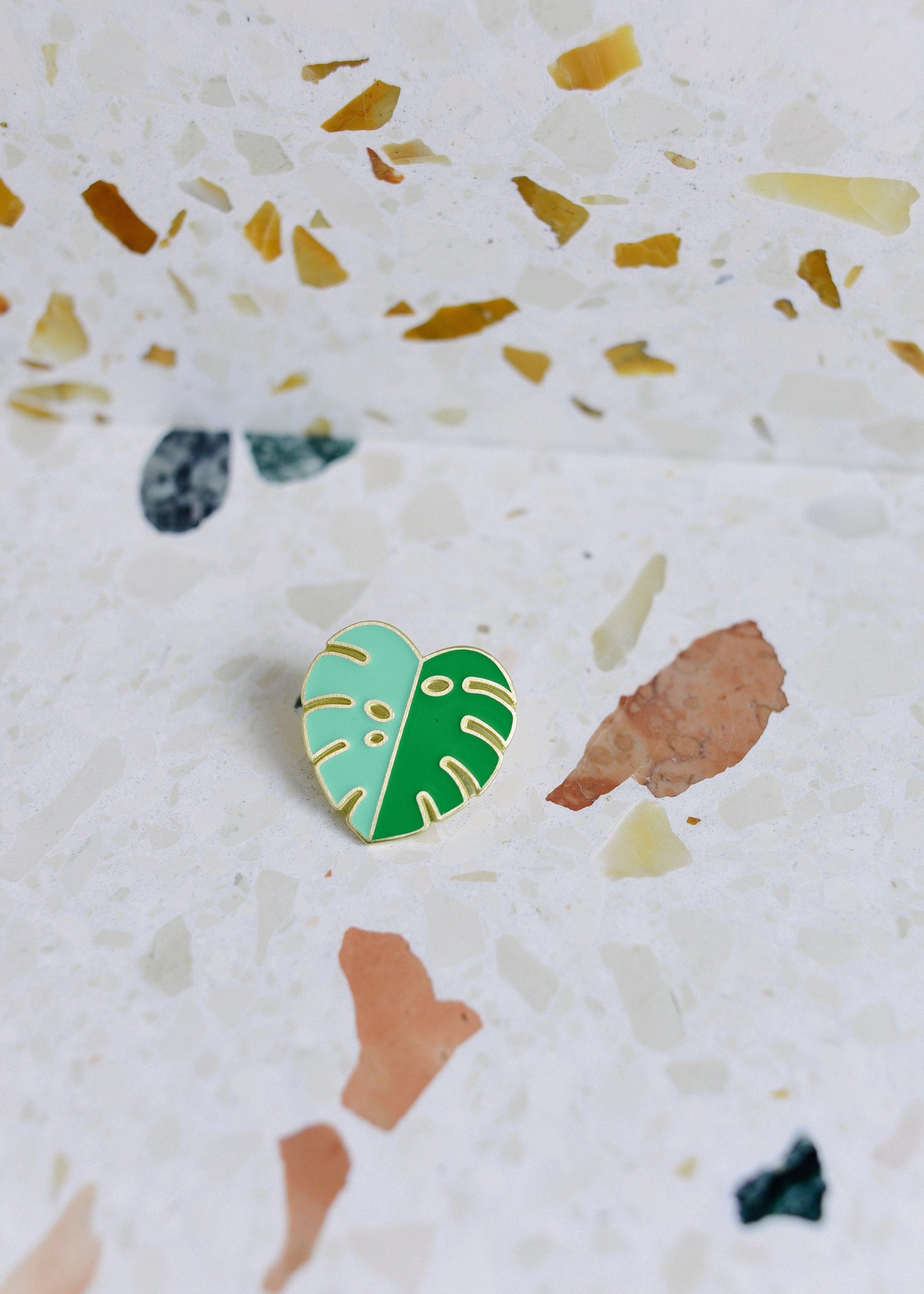 Monstera Variegata Mint Pin – Made in the EU | Plant Circle Exclusive -  Plant Circle.