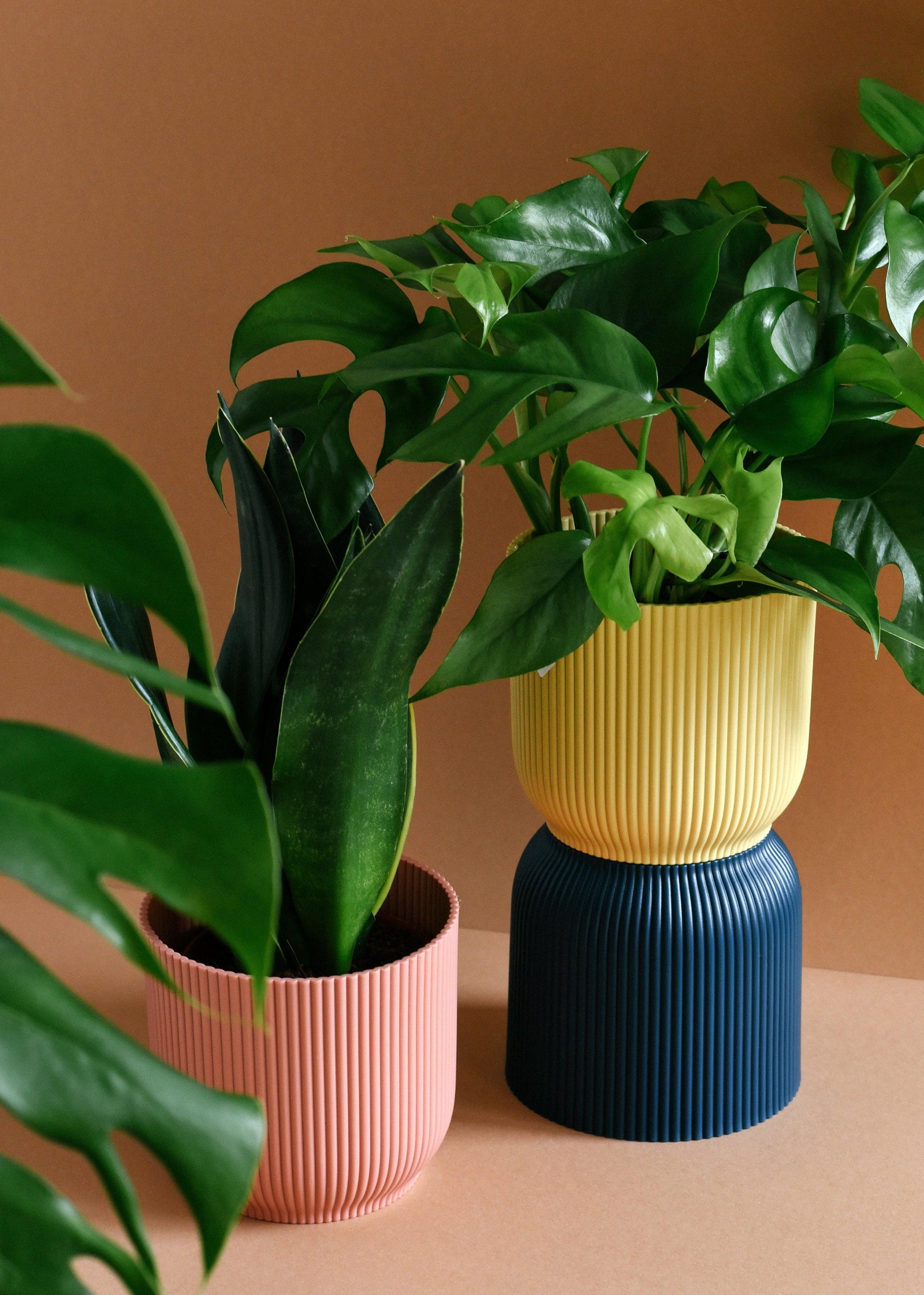 Vibes Fold Planter -  Plant Circle.