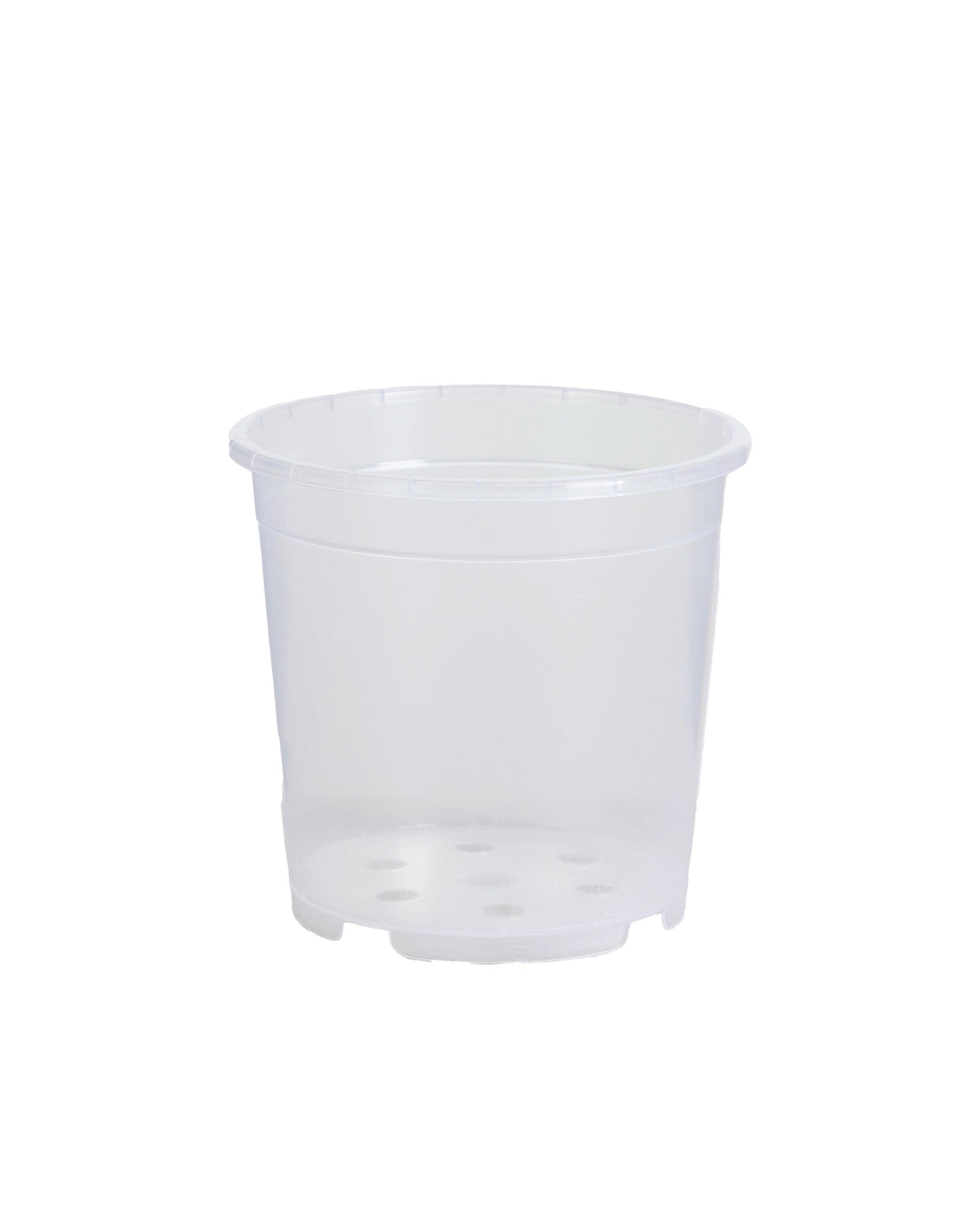 Transparent Nursery Planter Pot - Perfect for Aroids (12cm, 15cm and 19cm diameter) -  Plant Circle.
