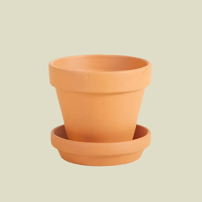 small plant pot and saucer Terracotta Pot and Saucer Set for Baby Plants (8cm Diameter)
