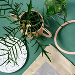 Plant Circle Gift Card 50 1