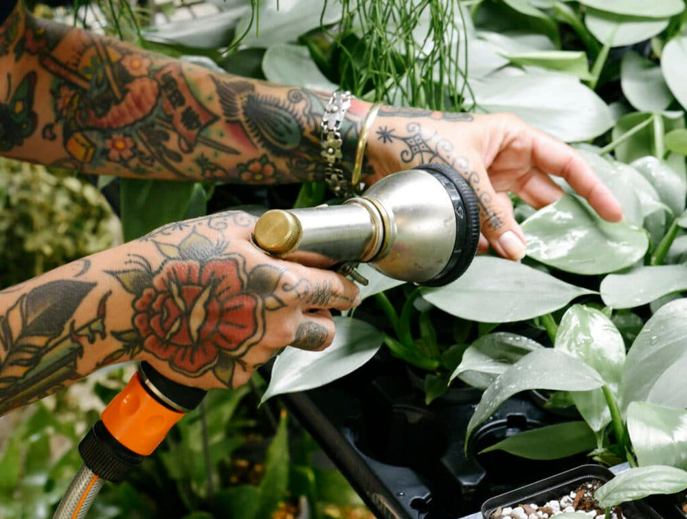 Plant Care: Neem Oil