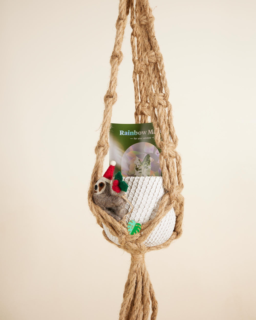 Introducing: Plant Circle Curated Holiday Gift Sets for Plant Lovers
