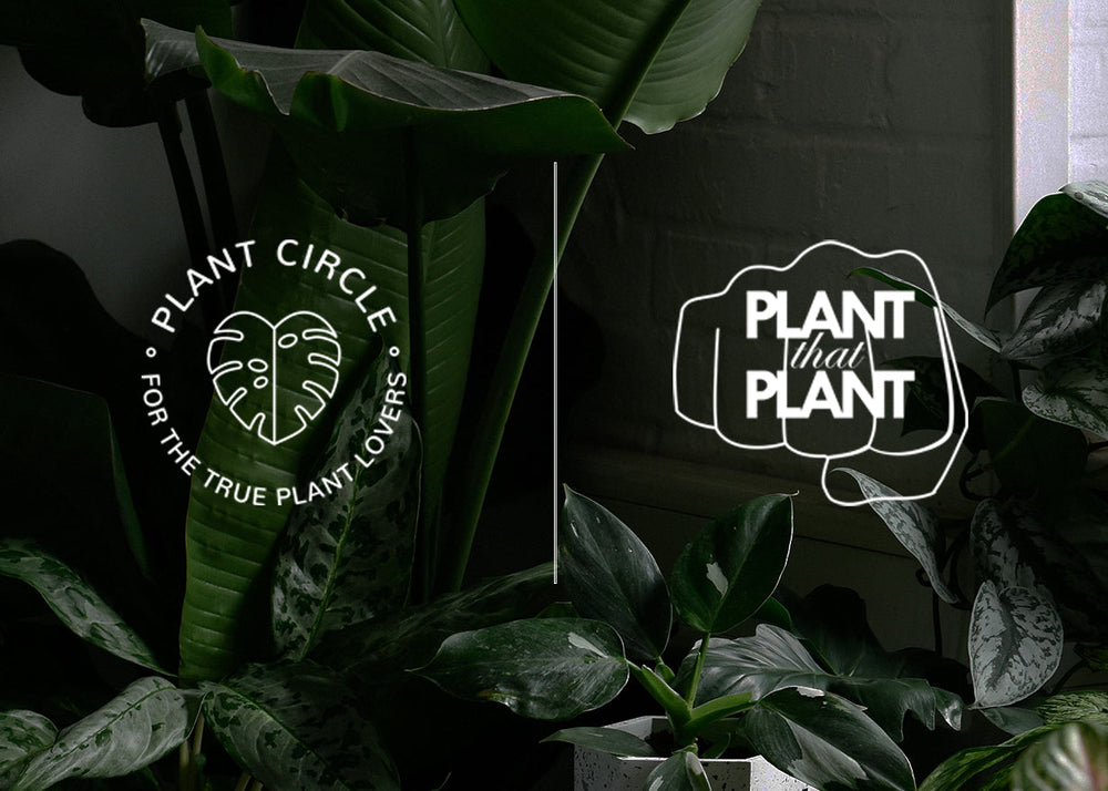 Plant Circle | Plantthatplant