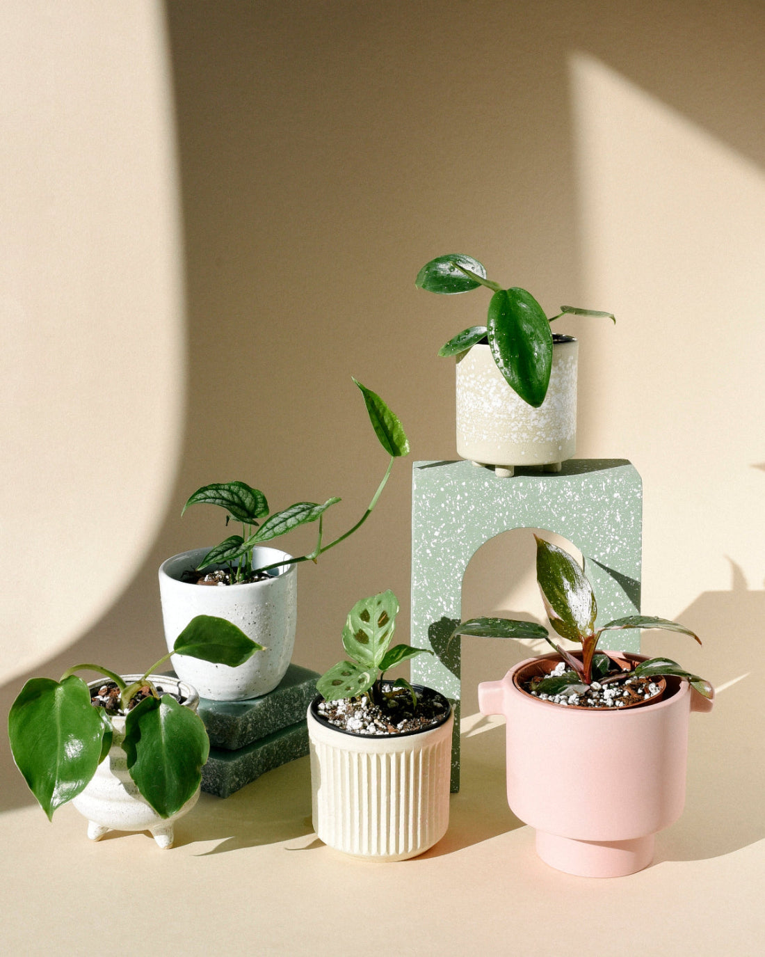Plant Sets