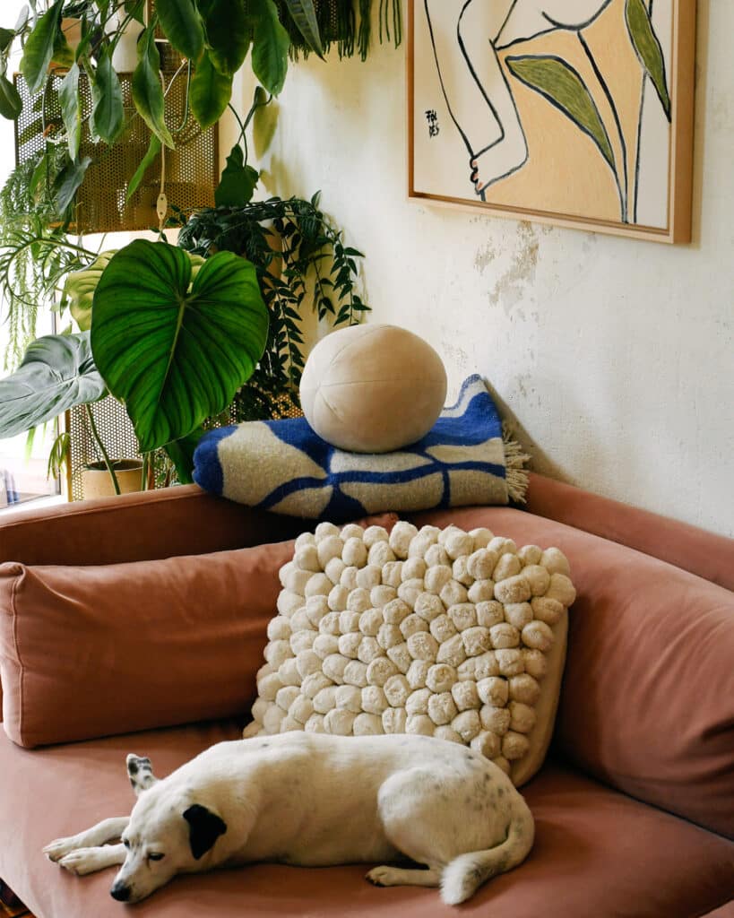 Plants for Your New Home