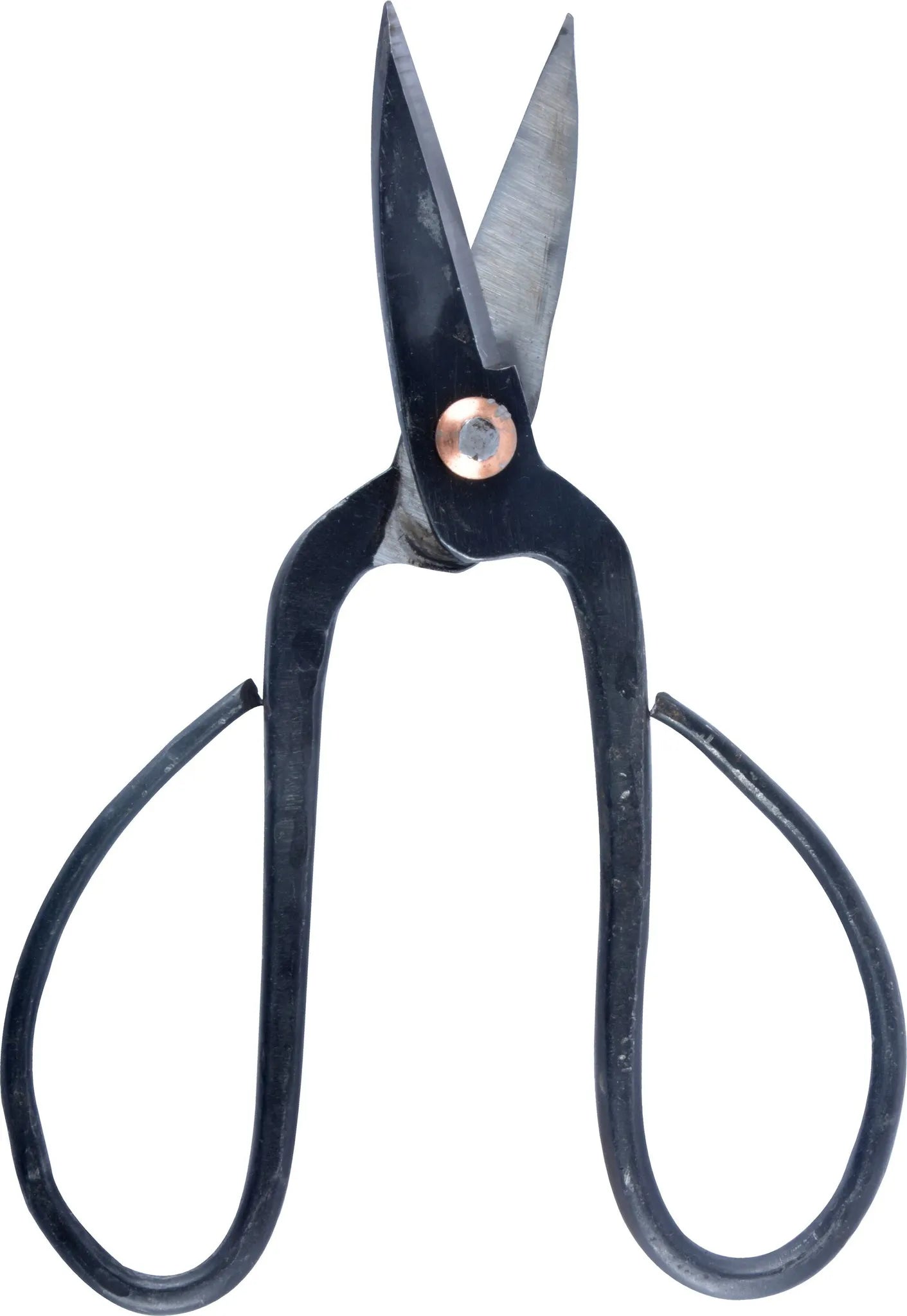 Open Japanese bonsai shears on white background, highlighting sharp carbon steel blades and ergonomic grip.
