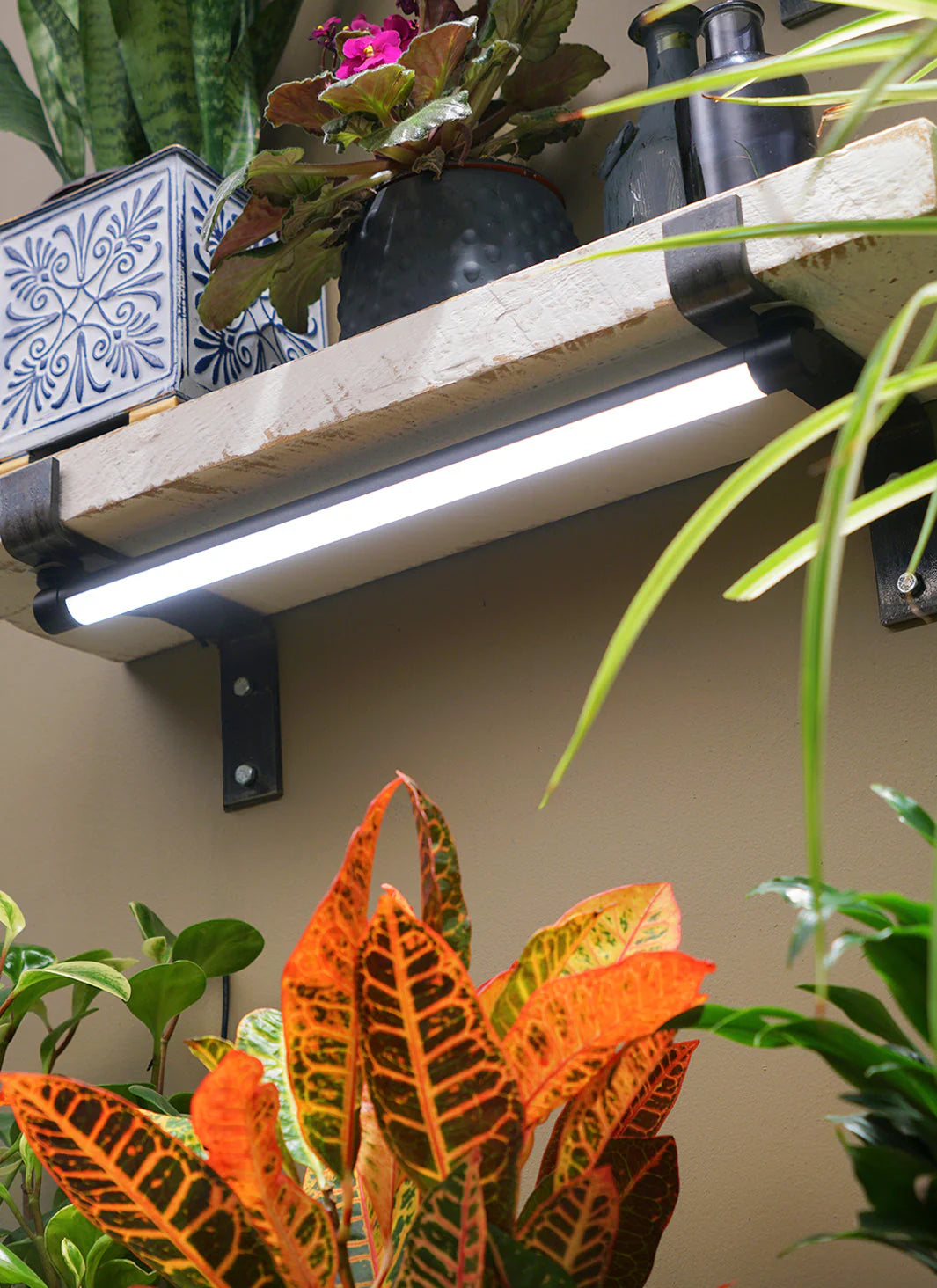 Grove™ LED Grow Light by Soltech - Unbeatable Quality for Premium Aesthetics and Function -  Plant Circle.