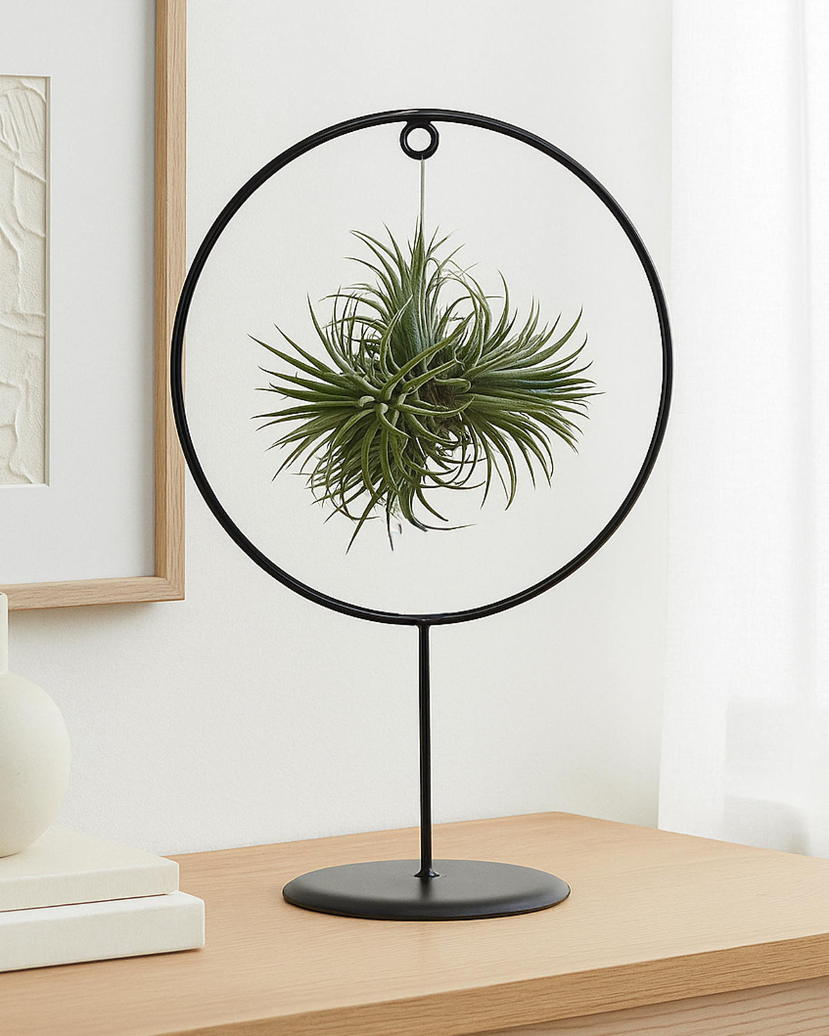 Decorative air plant holder on a stand with a white wall background