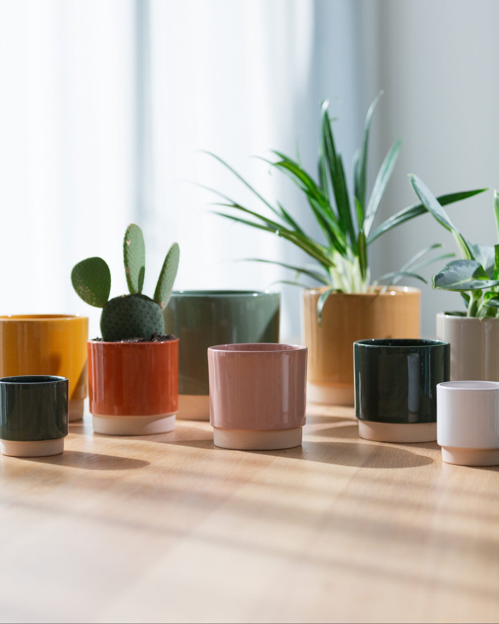 Eno Duo Glazed Ceramic Planters (5 colors, 2 sizes)