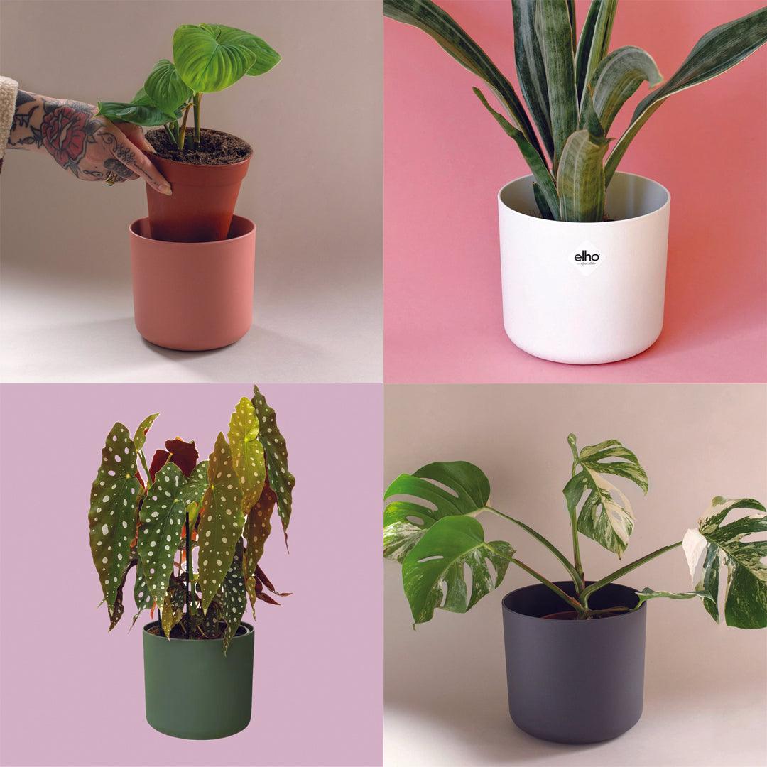 b.for soft round Planter -  Plant Circle.