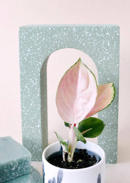 Aglaonema künstliche Hängepflanze - 50 cm - Green Bubble Aglaonema künstliche Hängepflanze - 50 cm - Green Bubble