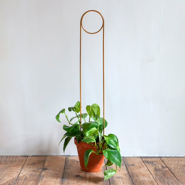 Golden Plant Stake Pin 70cm