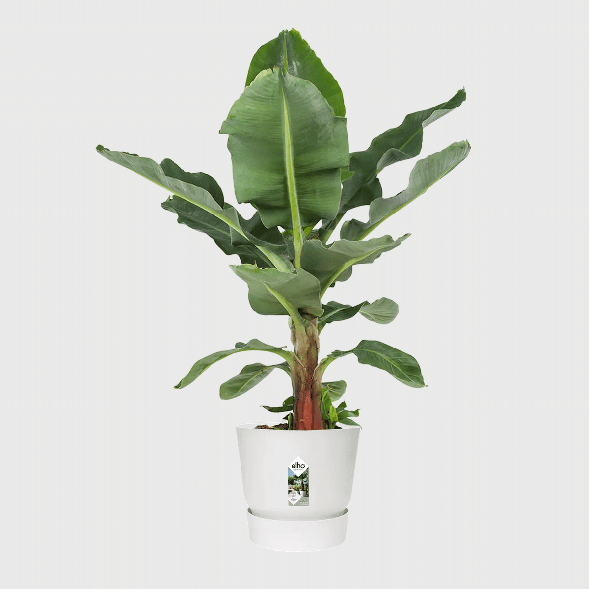 Greenville Round Planter - Eco Friendly Planters