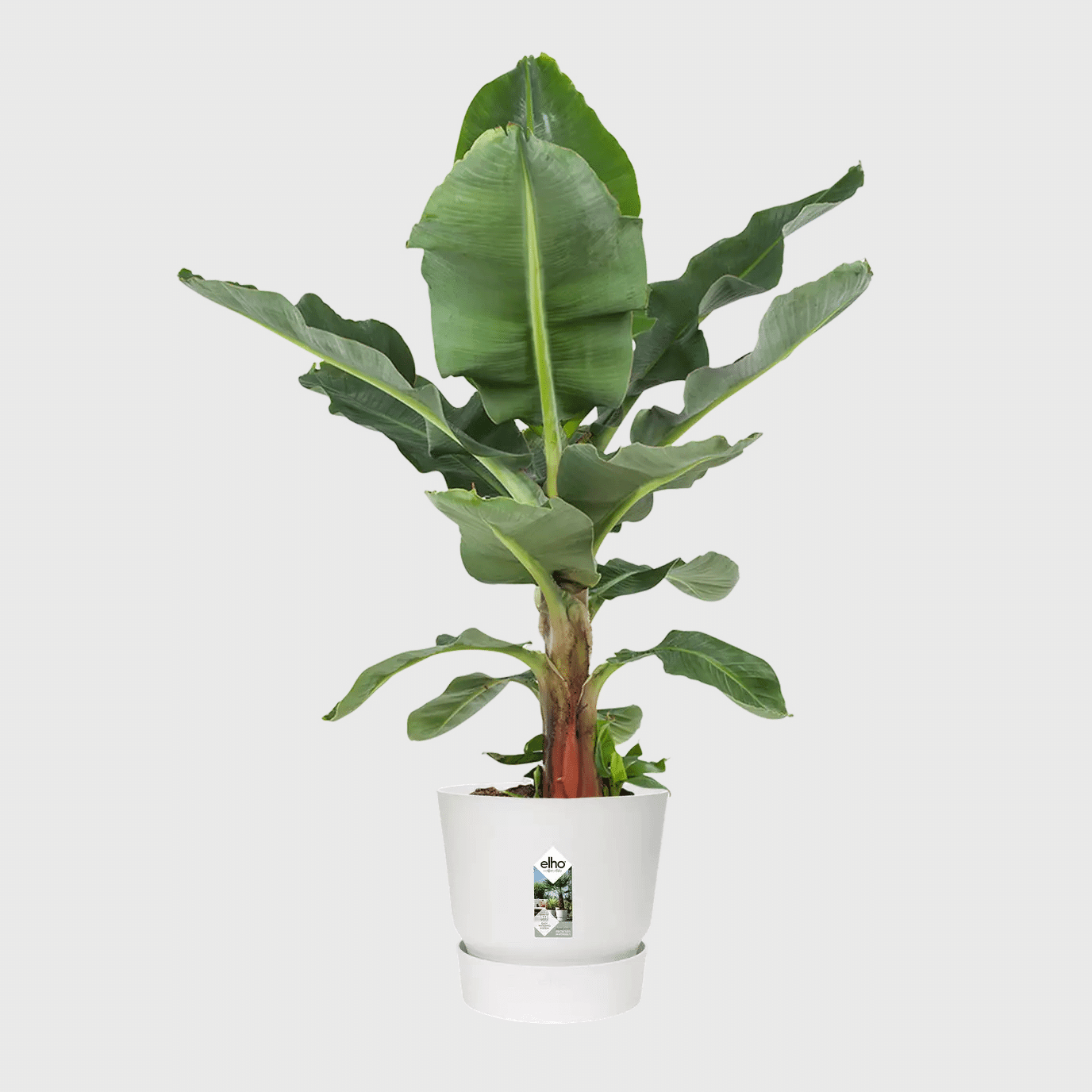 Greenville Round Planter white 6