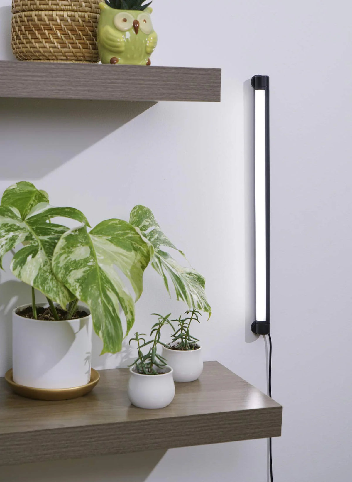 Grove™ LED Grow Light by Soltech - Unbeatable Quality for Premium Aesthetics and Function -  Plant Circle.