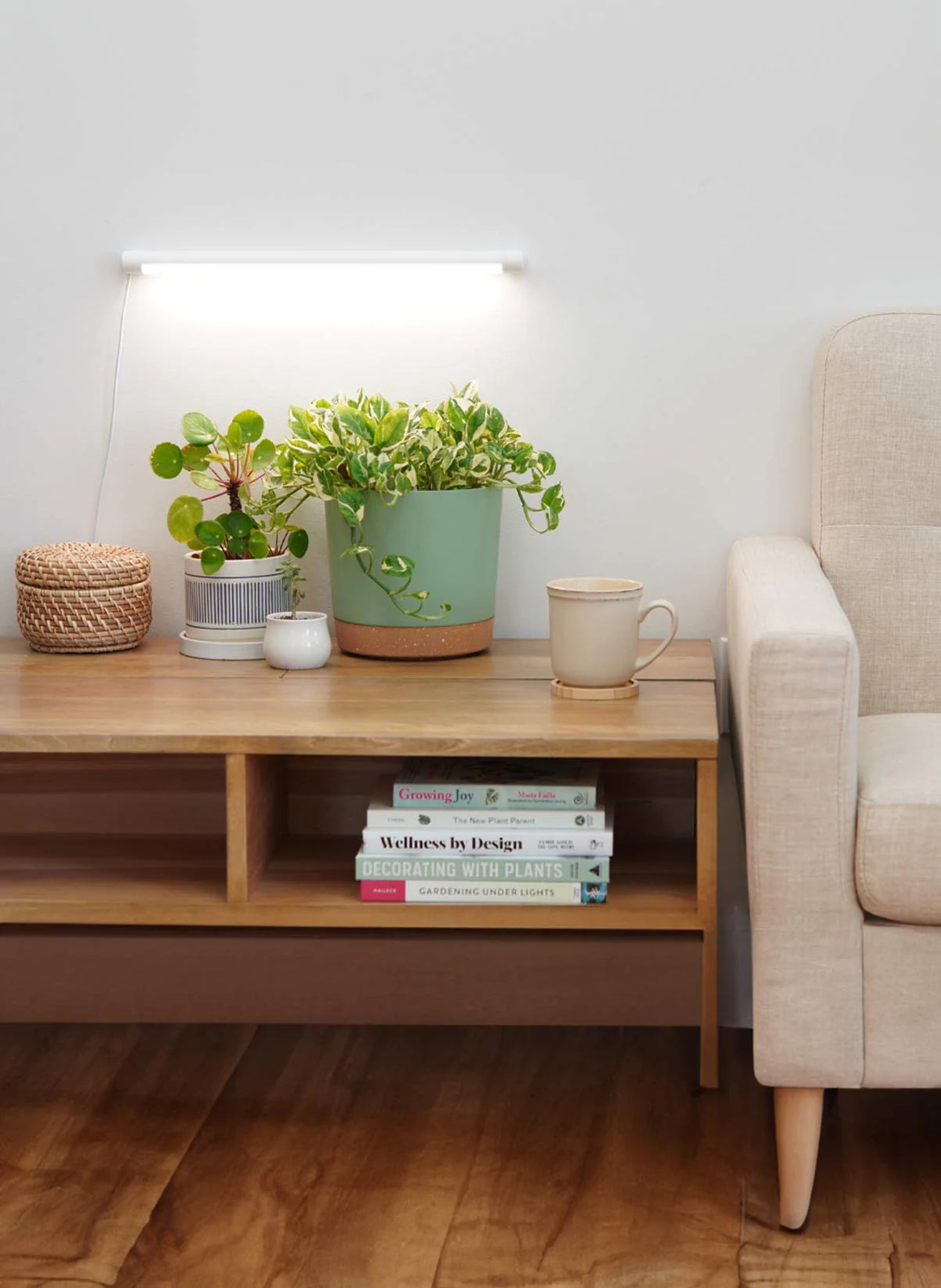 Grove™ LED Grow Light by Soltech - Unbeatable Quality for Premium Aesthetics and Function -  Plant Circle.