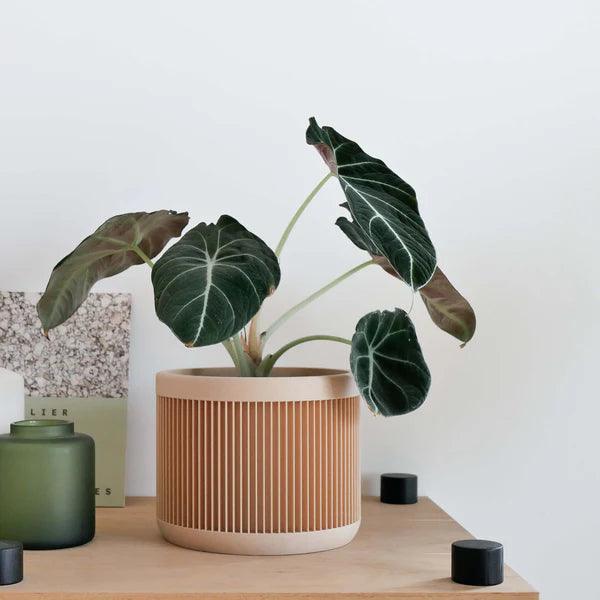 Minimum Design ‘Japan’ Planter | 3D Printed in France natural 2
