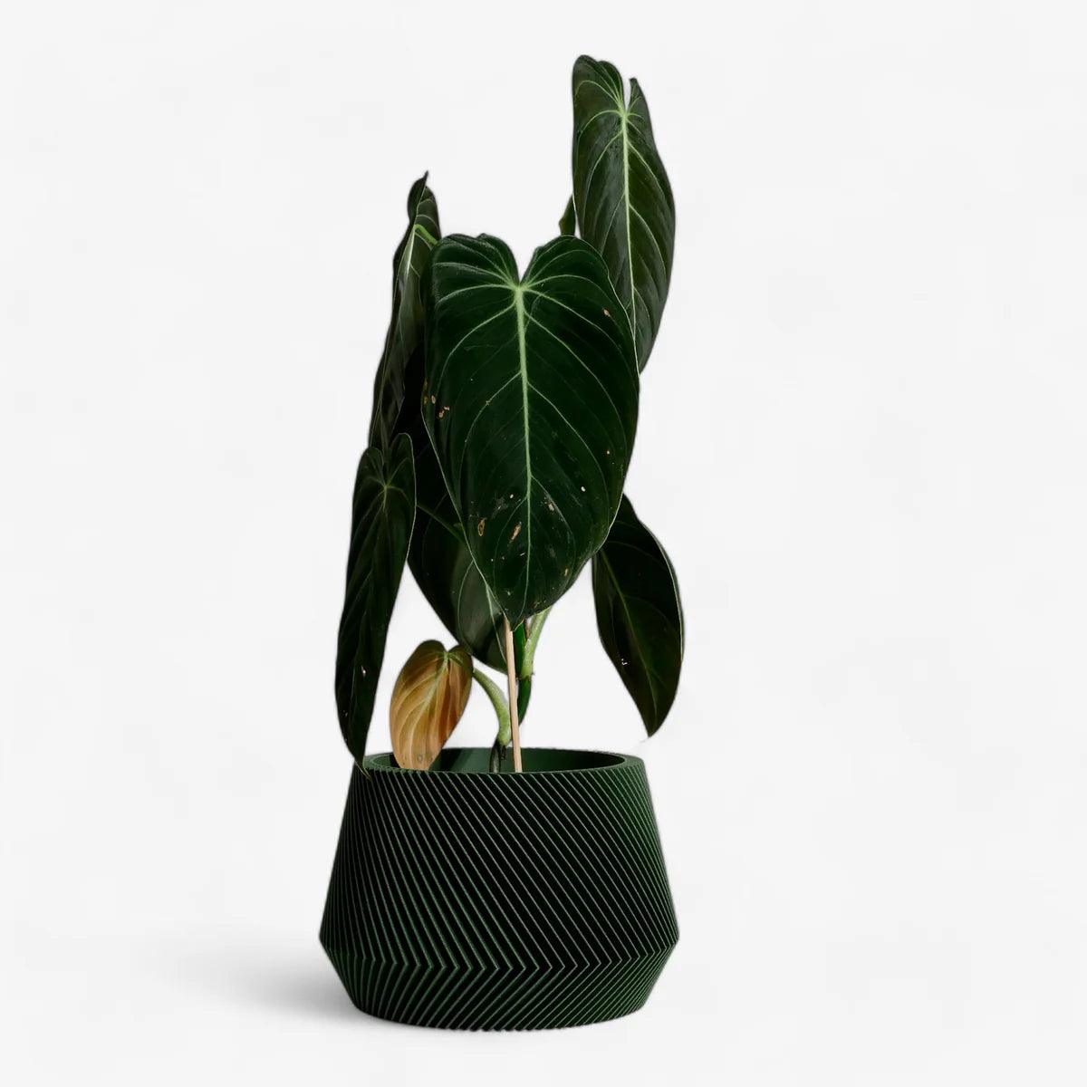 Minimum Design ‘Oslo’ Planter | 3D Printed in France -  Plant Circle.