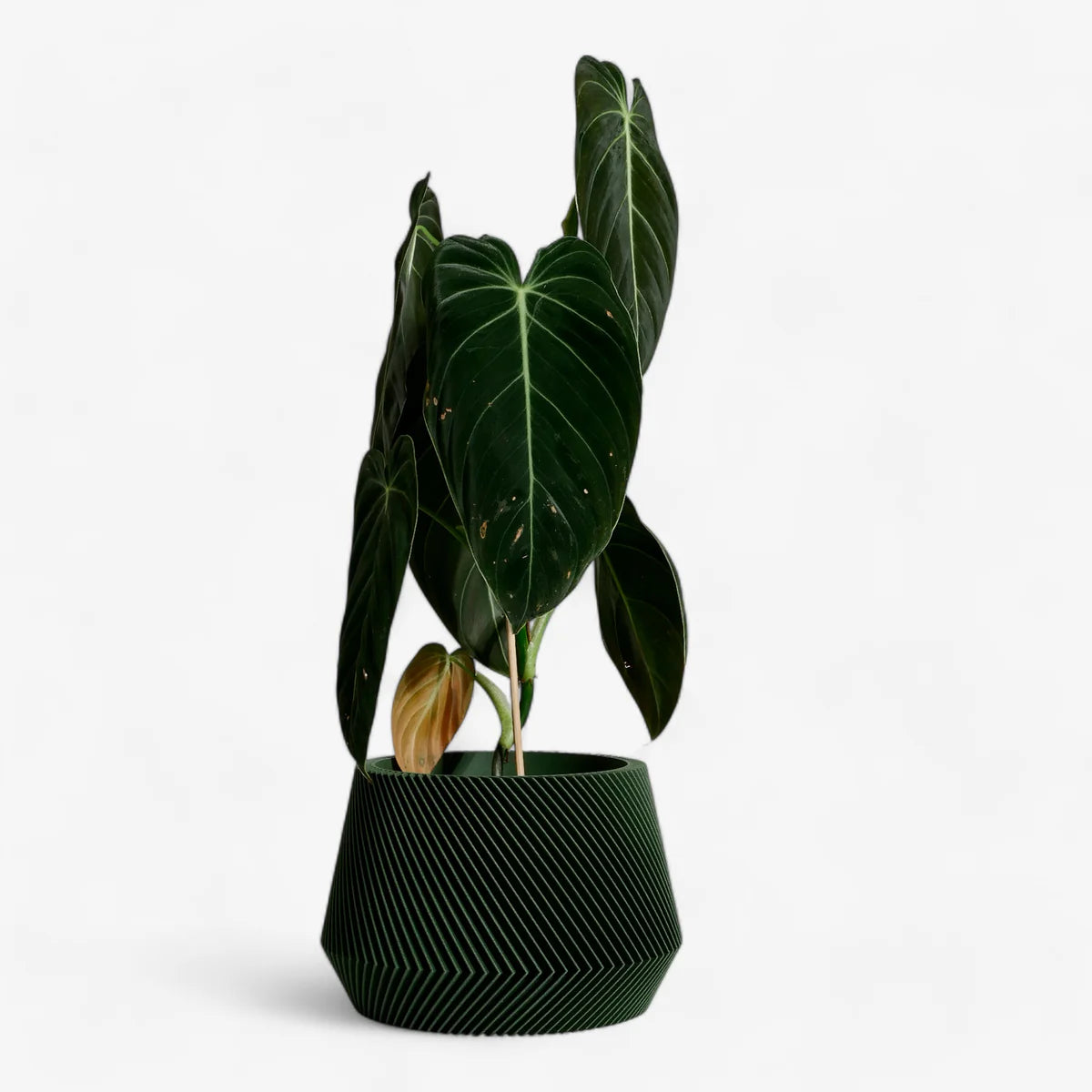 Minimum Design ‘Oslo’ Planter | 3D Printed in France black 2