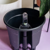 17cm self-watering insert