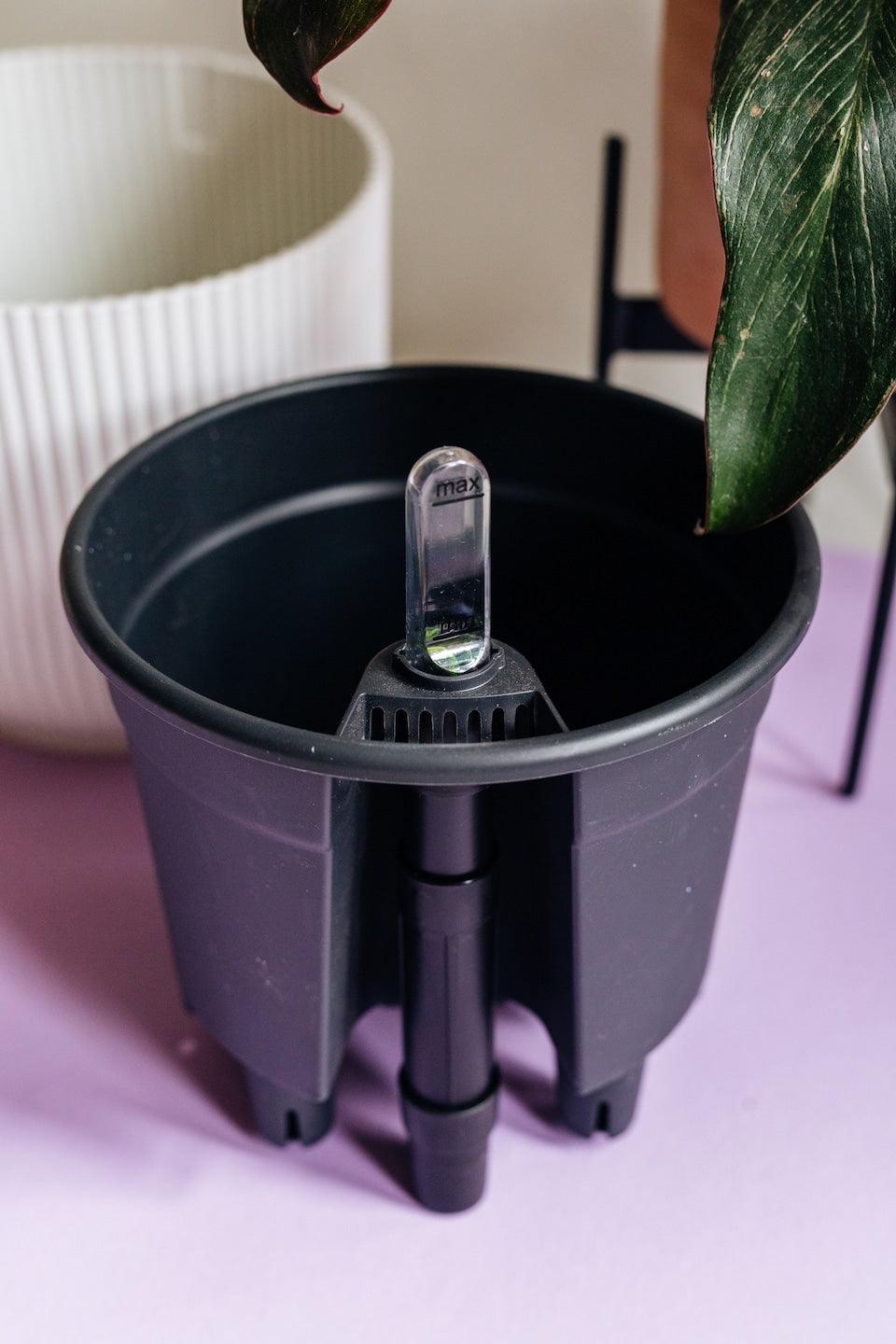 self watering plant holder Self-watering insert 17 cm