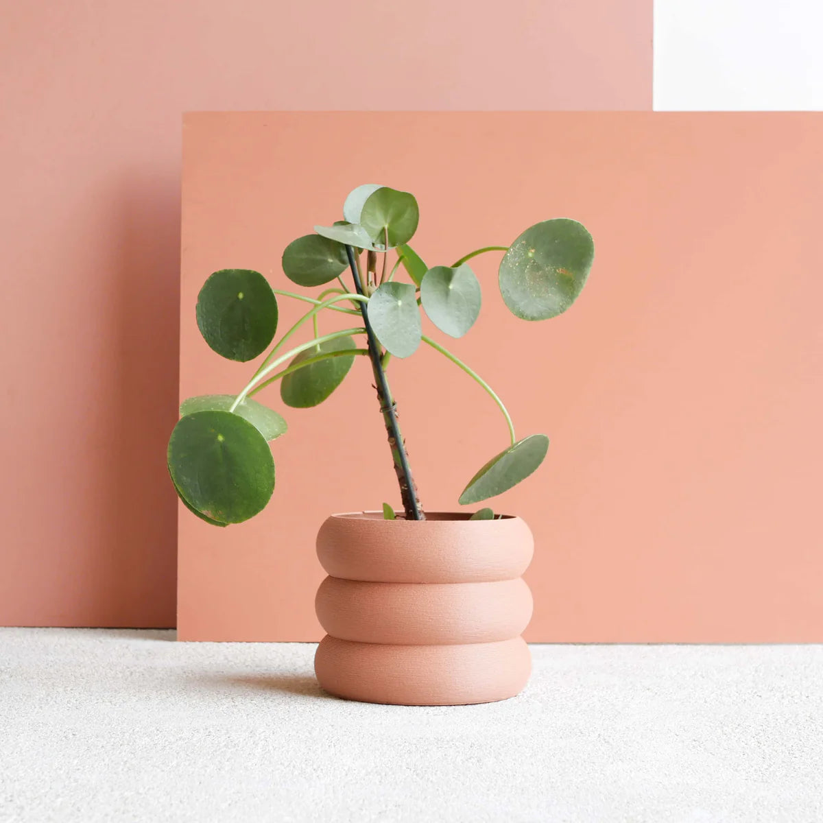 Minimum Design 'Eden' Planter | 3D Printed in France terracotta 1