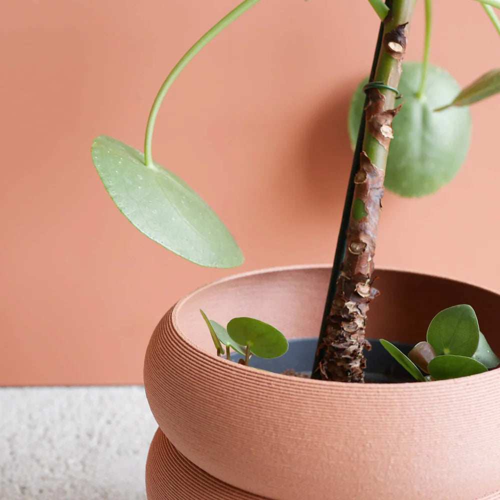 Minimum Design 'Eden' Planter | 3D Printed in France terracotta 3