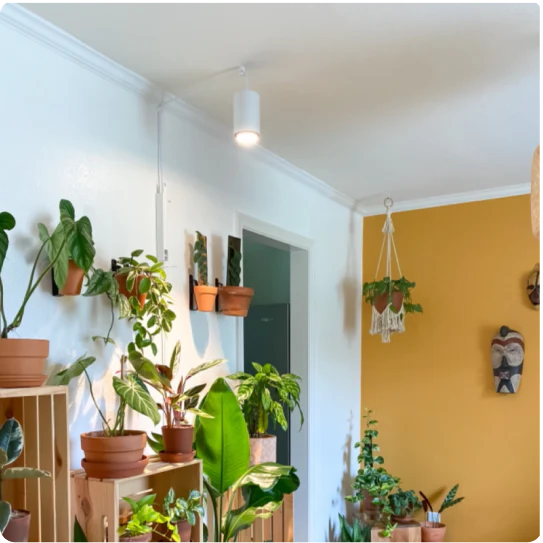 Aspect Light By Soltech - Sleek, Stylish Plant Light Engineered to Grow Your Plants Anywhere