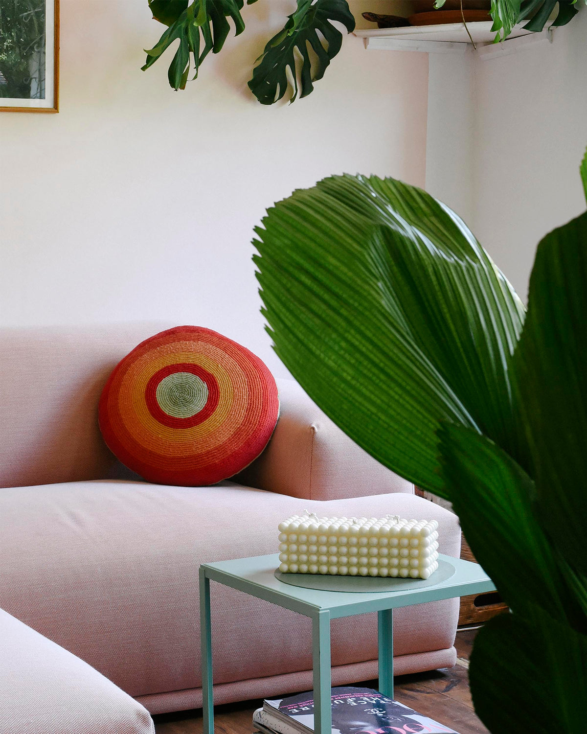 Licuala Grandis large plant styled in a modern home with a pastel pink sofa and accent objects