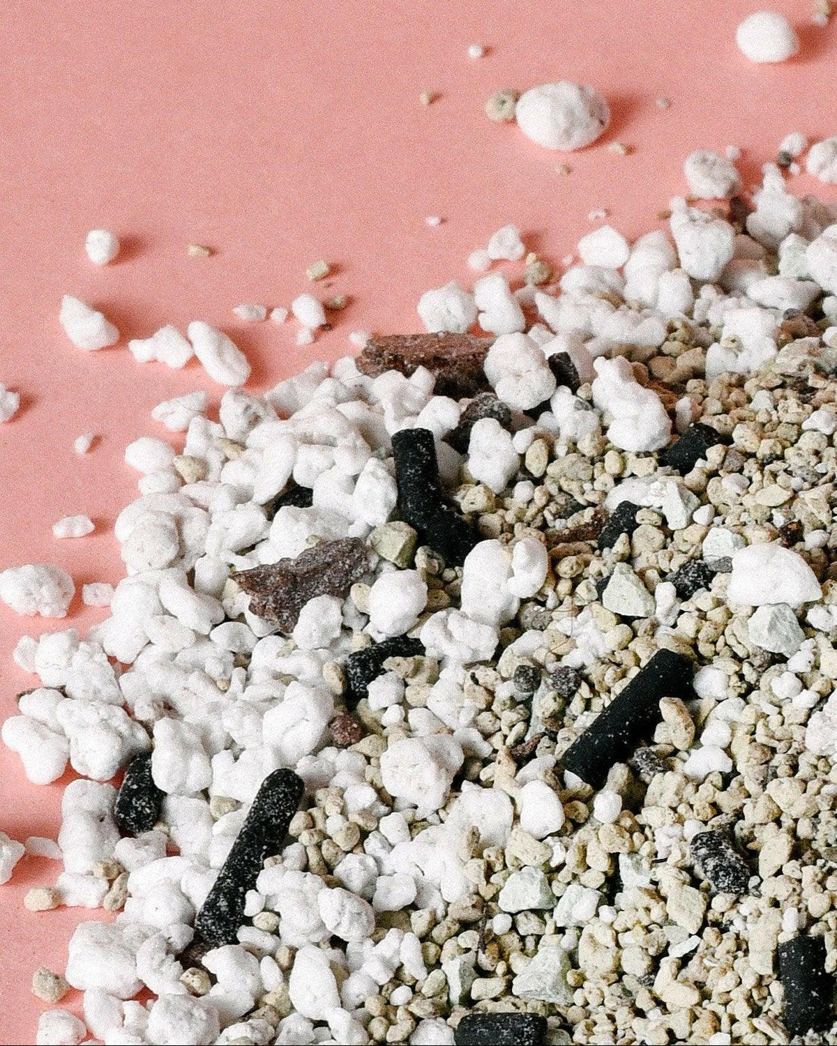 Soil-free alocasia substrate planting medium with perlite, activated charcoal and lava rocks on a pink background