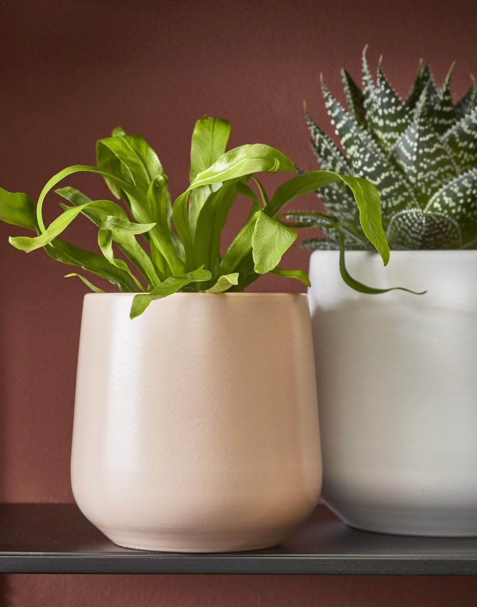 stylish pots for indoor plants Stylish Plant Pot: Elegant Matte Finish in 4 Colors