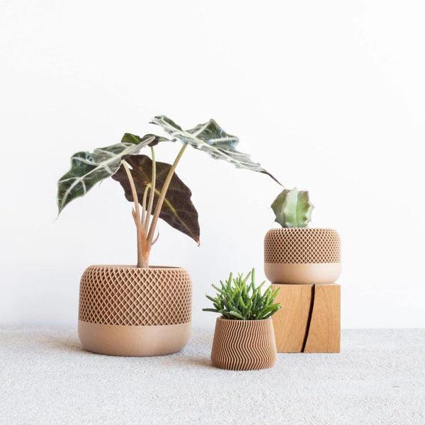 Minimum Design 'Apple' Planter | 3D Printed in France -  Plant Circle.
