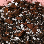 Aroid Potting Mix 5L Default Title 1