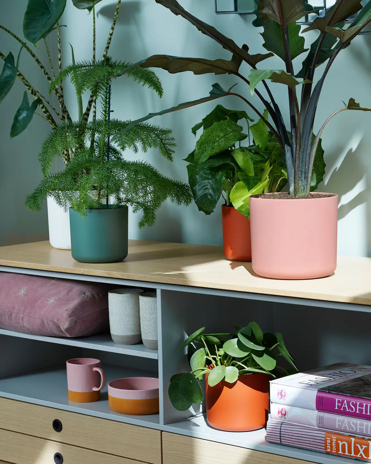 B.for soft Round Planters (5 Colors, Assorted Sizes)