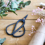 Japanese-style pruning shears on a wooden table, surrounded by greenery and dried flowers – perfect for indoor plant care and bonsai trimming.
