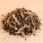 Close-up of a pile of spaghnum moss, vermiculite and pumice designed   on a beige background healthy carnivorous plants