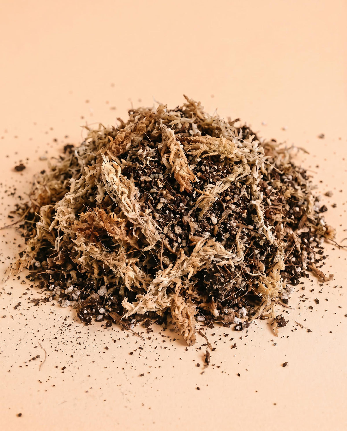 Close-up of a pile of spaghnum moss, vermiculite and pumice designed   on a beige background healthy carnivorous plants