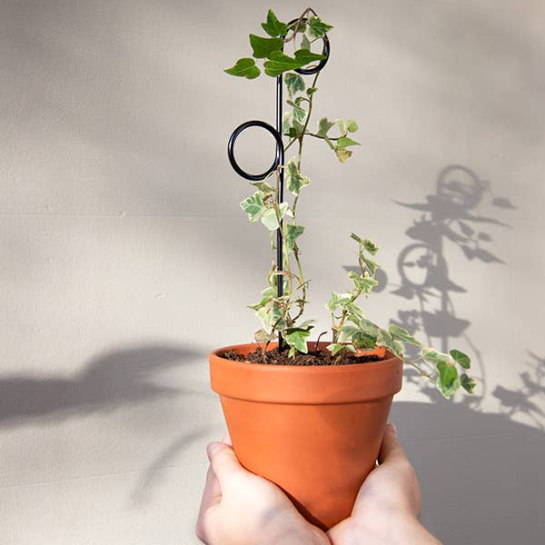 Mini Plant Stakes: Black -  Botanopia.
