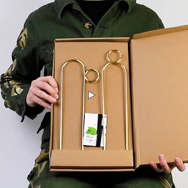 Mini Plant Stakes: Black -  Botanopia.