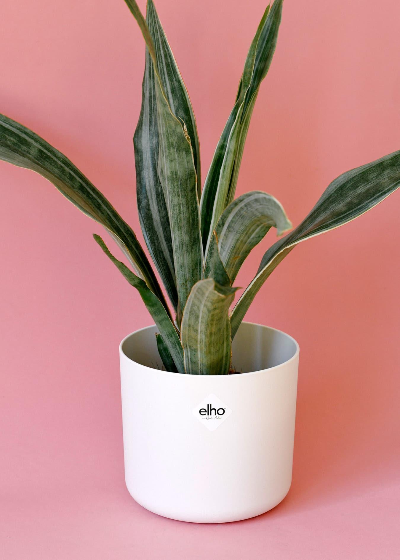 b.for soft round Planter anthracite 5