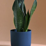 Vibes Fold Planter -  Plant Circle.