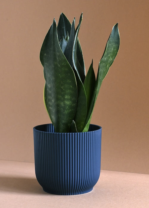 elho vibes fold planter blue