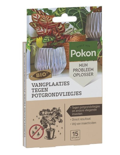 Bio Traps for Potting Soil Flies – Natural Pest Control (15 Pieces) -  Plant Circle.