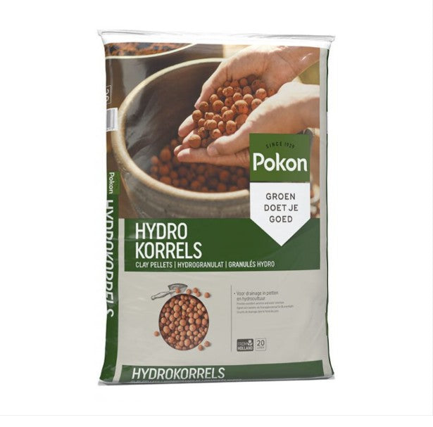 Clay Hydrogranules – The Perfect Soil-Free Growing Medium -  Plant Circle.