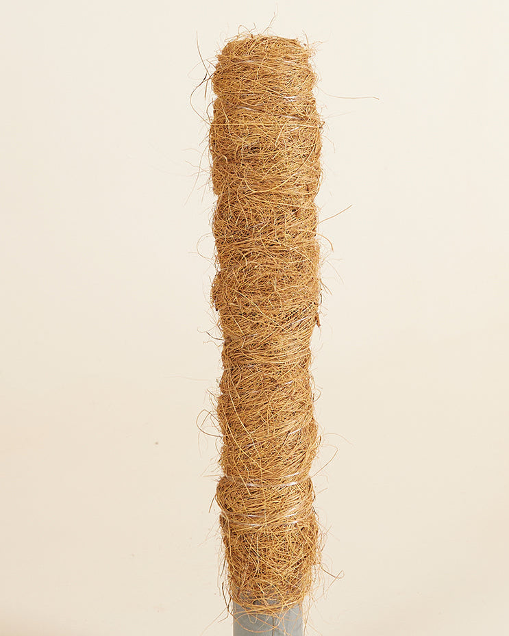close up of a coco coir plant support pole on a beige backrgound