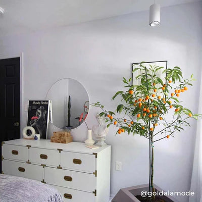 Aspect Light By Soltech white